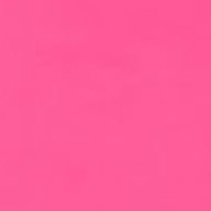 Meet your Posher, Lily